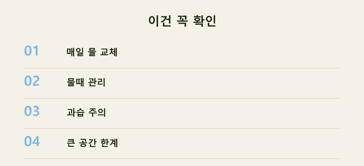 이건 꼭 확인