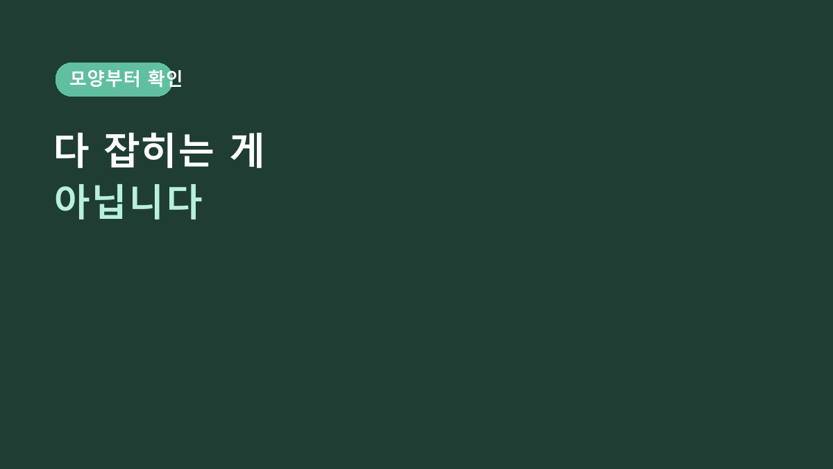 냄비손잡이면 다 잡히는 줄 알았는데 아니었습니다 – 플라이토 실리콘 악어 손잡이, 모양부터 보세요