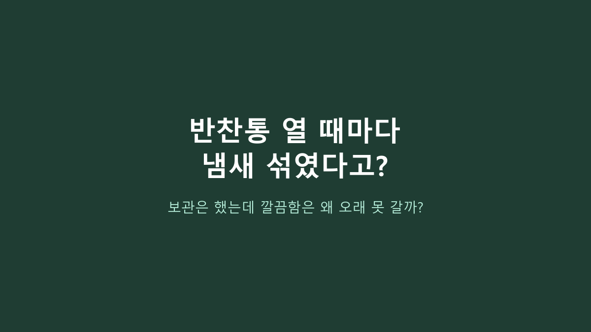 스텐 밀폐용기 고르는 사람들의 공통점, 이 반찬통 세트는 플라스틱·유리와 뭐가 다를까?