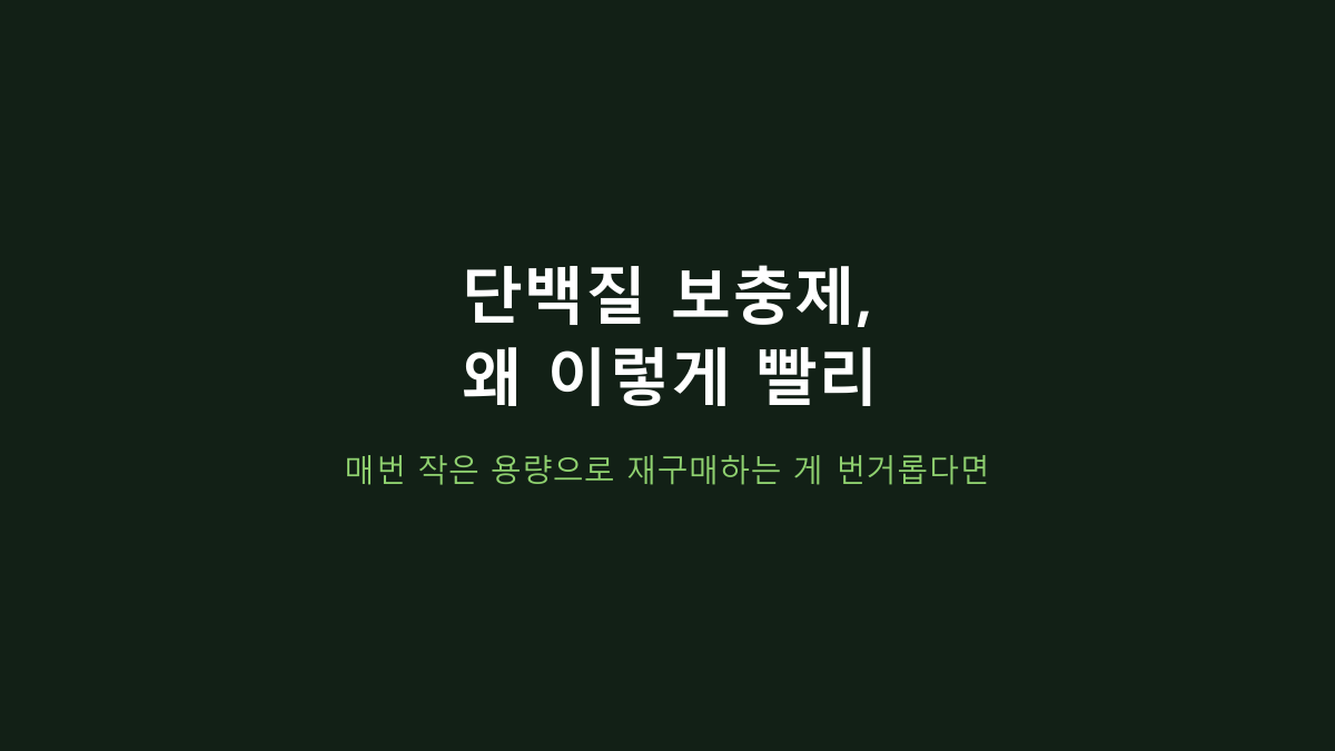 뉴욕웨이 라이트 2kg vs WPI 단백질, 대용량 가성비와 원료 선택 기준이 갈립니다
