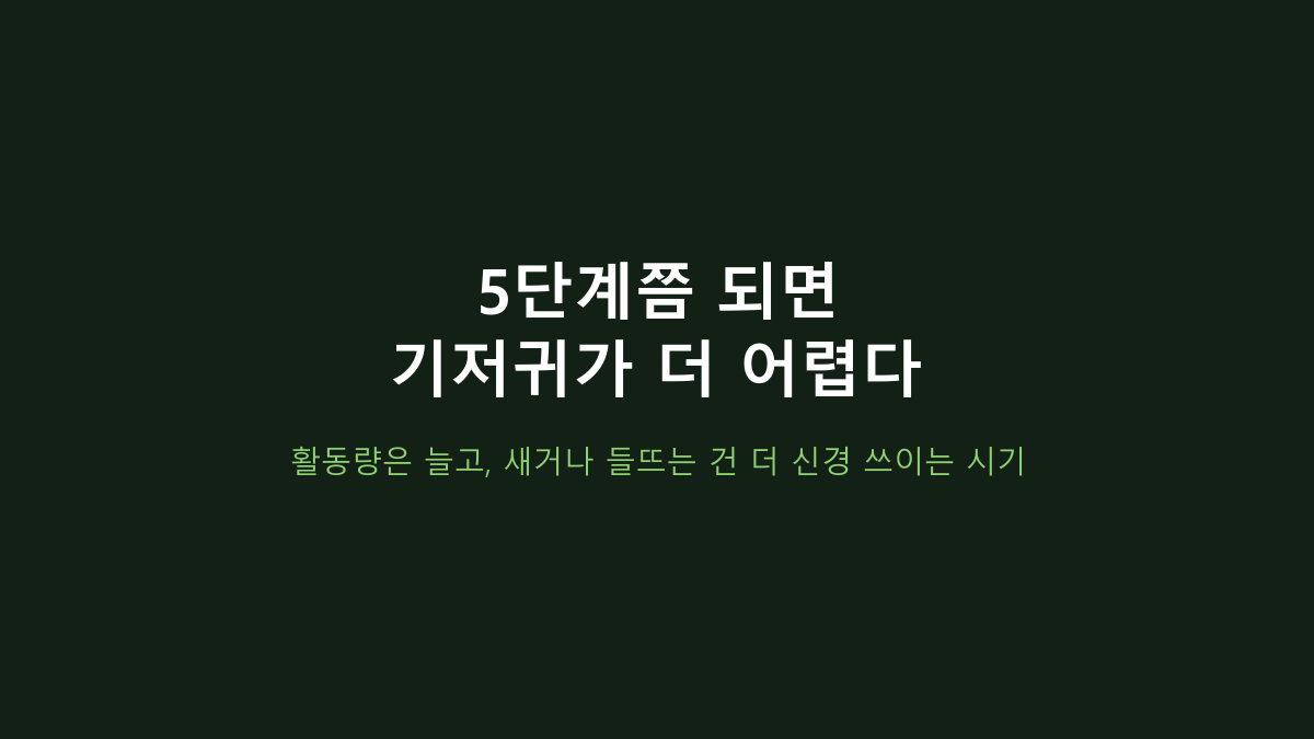하기스 보송보송 5단계 80매, 체중만 보고 사면 후회합니다 - 밴드형·팬티형·묶음수량 비교