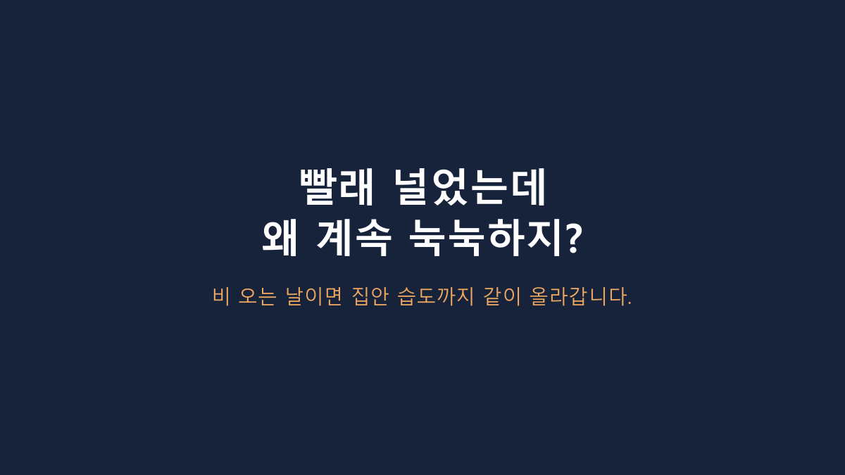 몽트라드 12L 제습기, 원룸용으로 충분할까? 미니·20L급과 비교하면 답이 보입니다