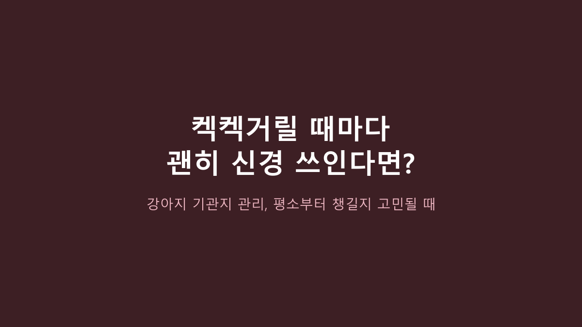 100g 한 통입니다 - 댕이수랏간 침향 기관지청청, 성분 이름보다 먼저 볼 4가지