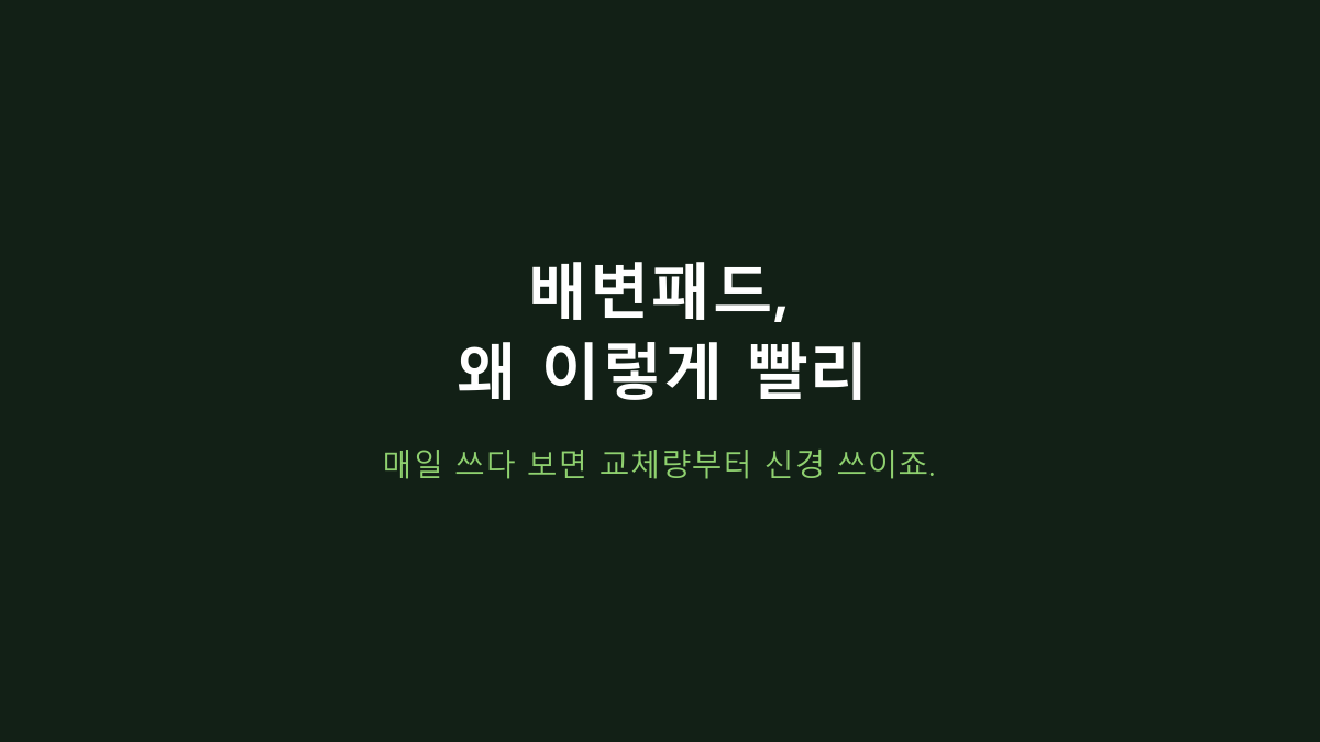 50×40cm·100매입니다 - 탐사 실속형 배변패드, ‘100매면 오래 쓴다’는 오해부터 바로잡기
