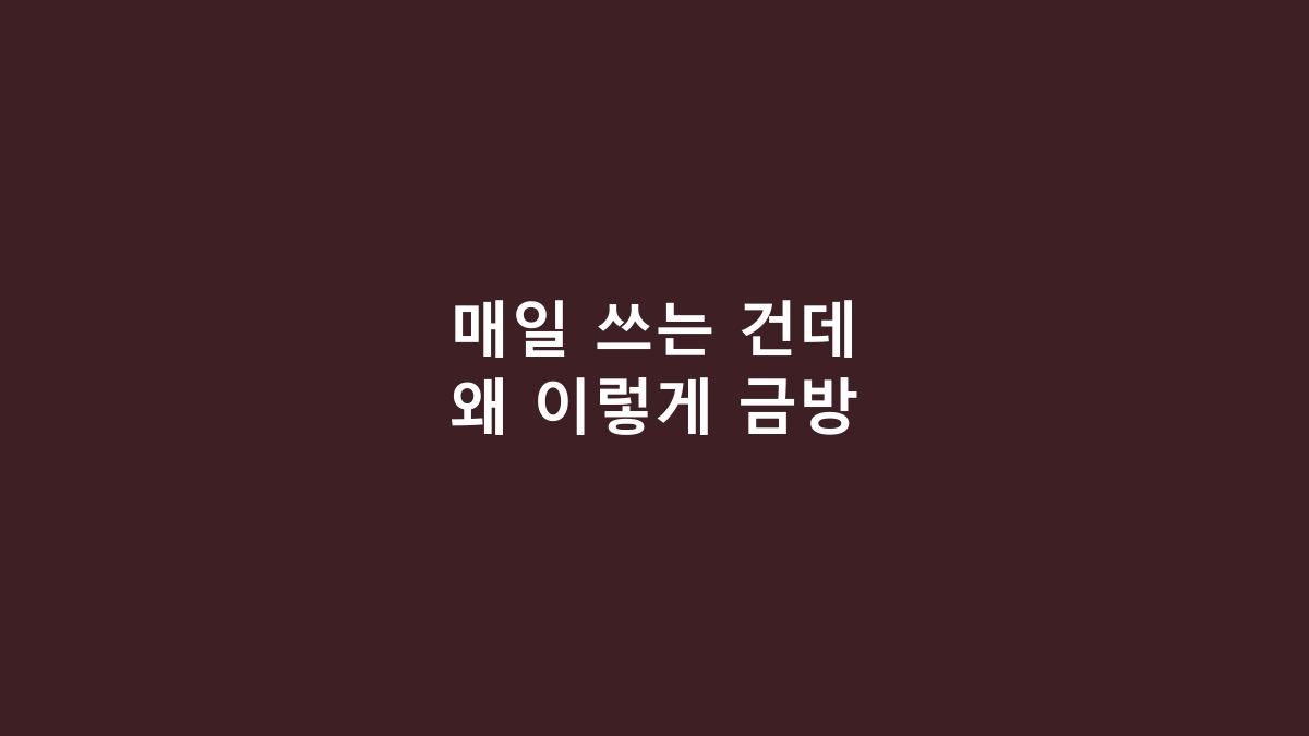 탐사 실속형 배변패드, 100매면 충분할까? 가격보다 먼저 볼 5가지