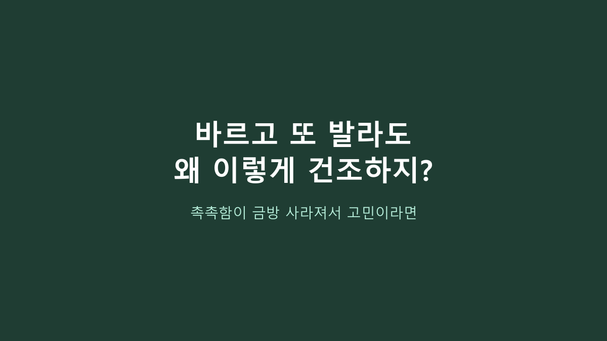 세타필 로션 591ml, 무조건 대용량이 이득일까? 이렇게 고르면 후회합니다