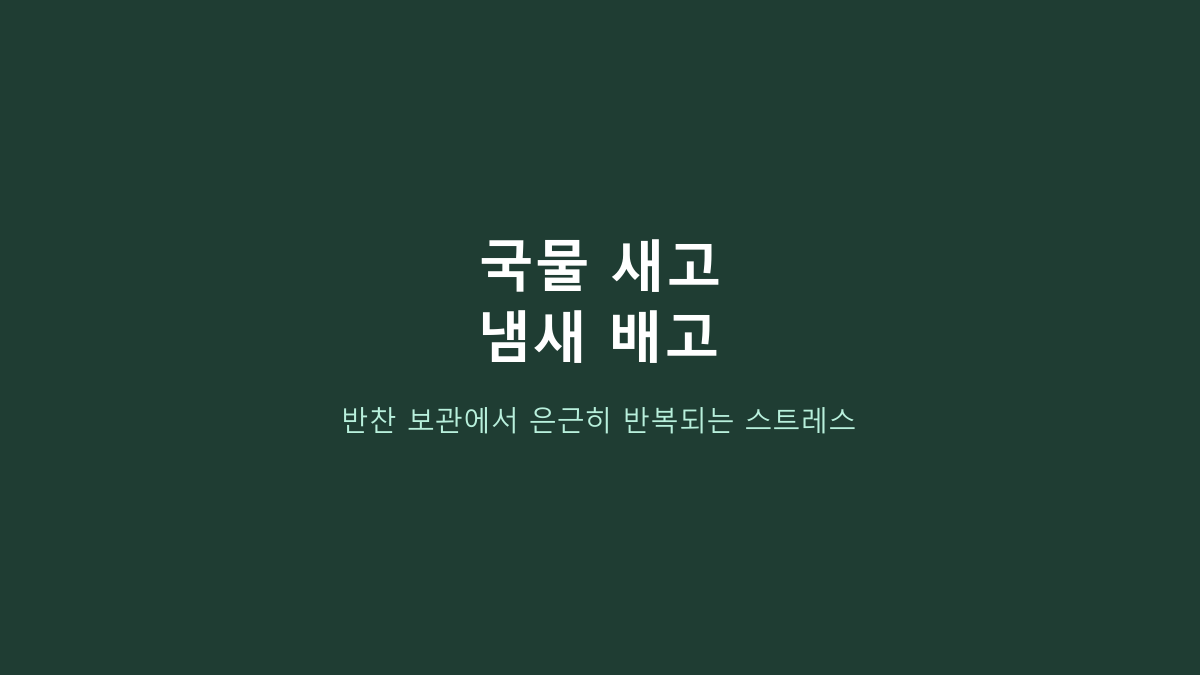 스텐 밀폐용기 고르는 사람들의 공통점, 이 반찬통 세트는 플라스틱·유리와 뭐가 다를까?