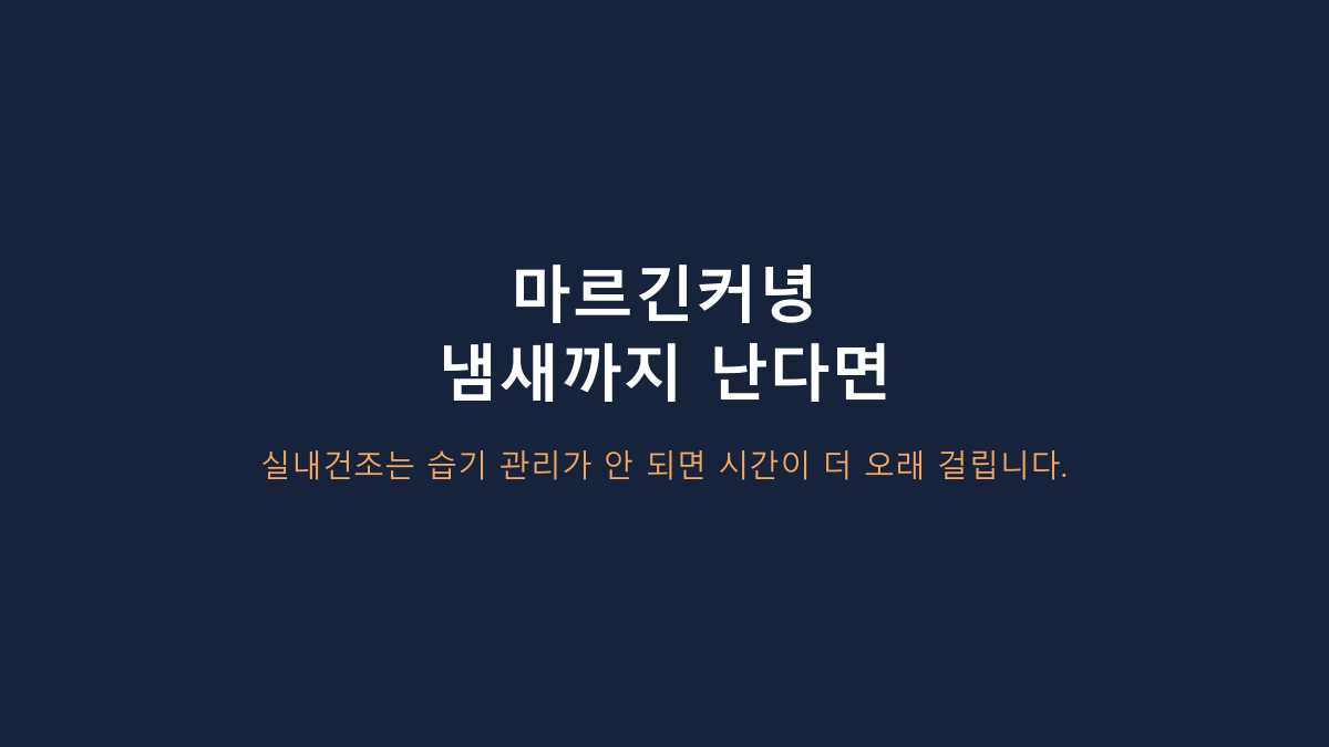 몽트라드 12L 제습기, 원룸용으로 충분할까? 미니·20L급과 비교하면 답이 보입니다
