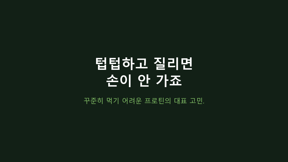 신타-6 2.27kg, ‘단백질 22g’만 보고 고르면 후회합니다 - 운동 후·다이어트·간식에서 갈리는 이유