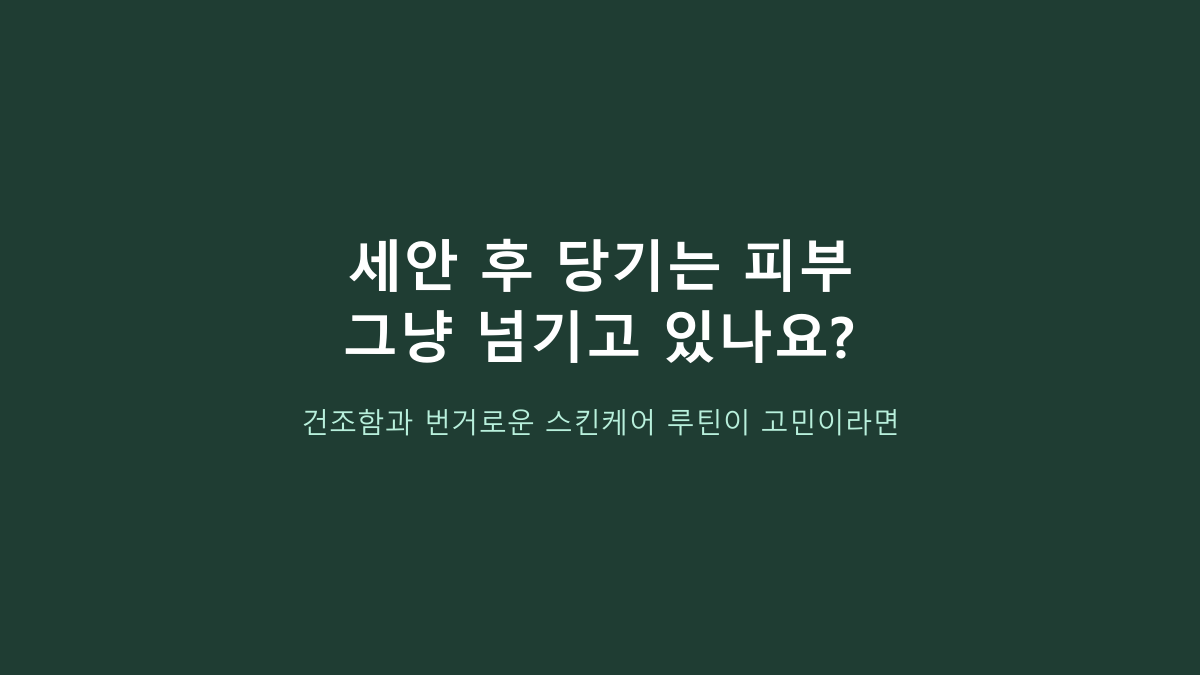 라운드랩 독도 토너 500ml, 대용량만 보고 고르면 후회합니다 - 피부 타입보다 먼저 볼 것