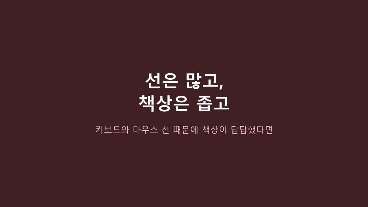 로이체 무선 키보드 마우스 세트, 무선이라고 덥석 고르면 후회하는 이유 - RX-3100부터 확인하세요