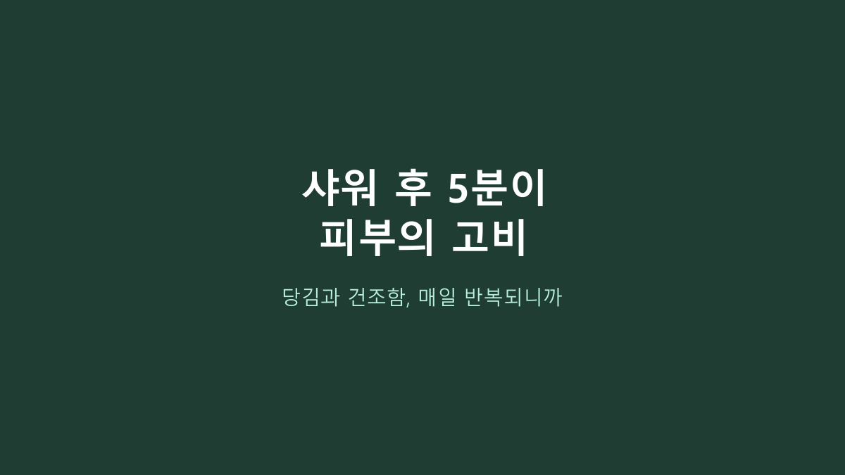 세타필 로션 591ml, 무조건 대용량이 이득일까? 이렇게 고르면 후회합니다