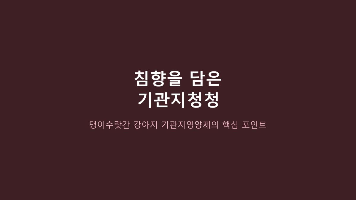 100g 한 통입니다 - 댕이수랏간 침향 기관지청청, 성분 이름보다 먼저 볼 4가지