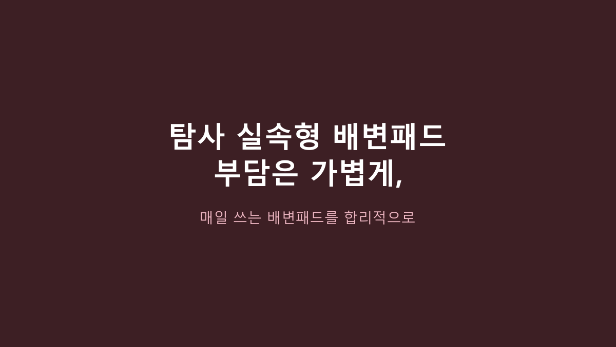 탐사 실속형 배변패드, 100매면 충분할까? 가격보다 먼저 볼 5가지