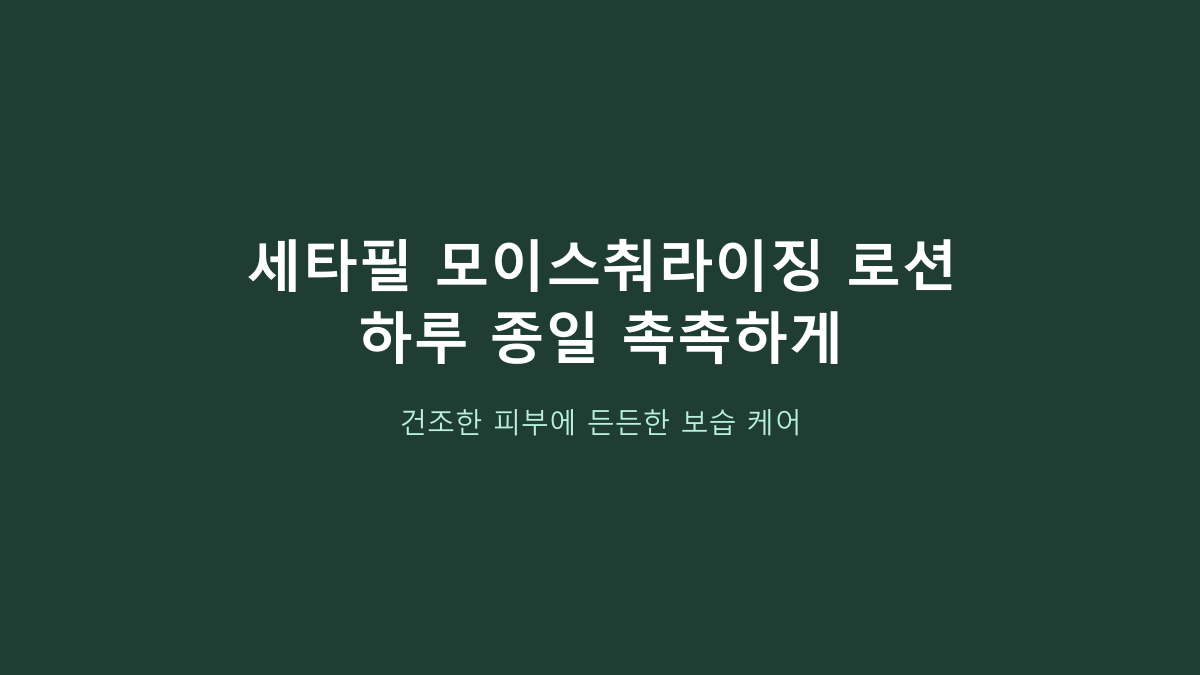 세타필 로션 591ml, 무조건 대용량이 이득일까? 이렇게 고르면 후회합니다