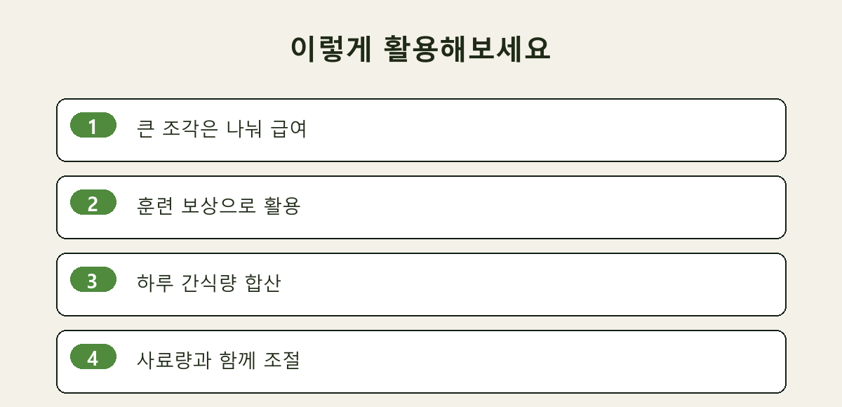 이렇게 활용해보세요