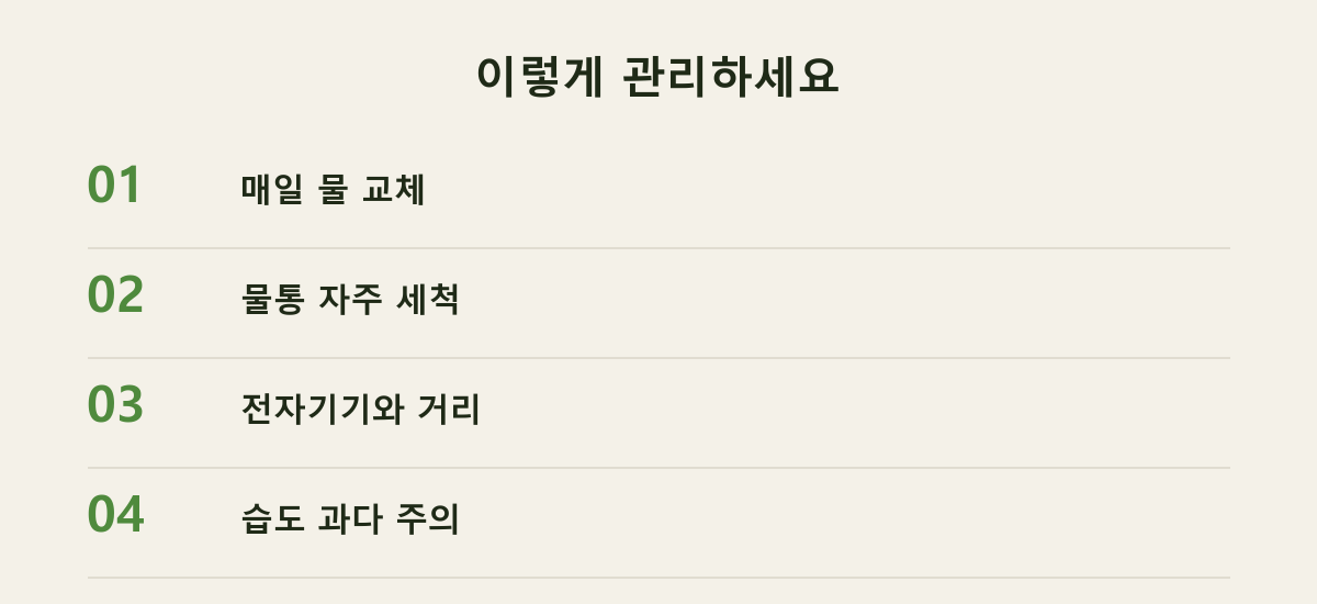 이렇게 관리하세요