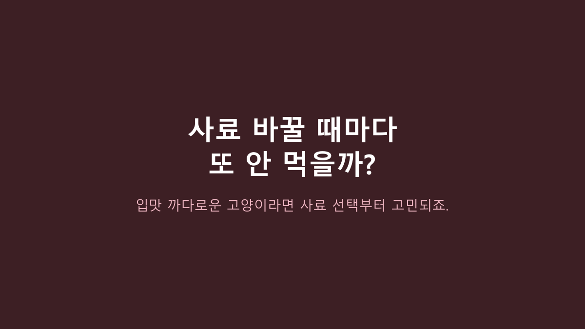 캐츠랑 전연령 고양이 사료 후기, 오래 먹이는 집 공통점