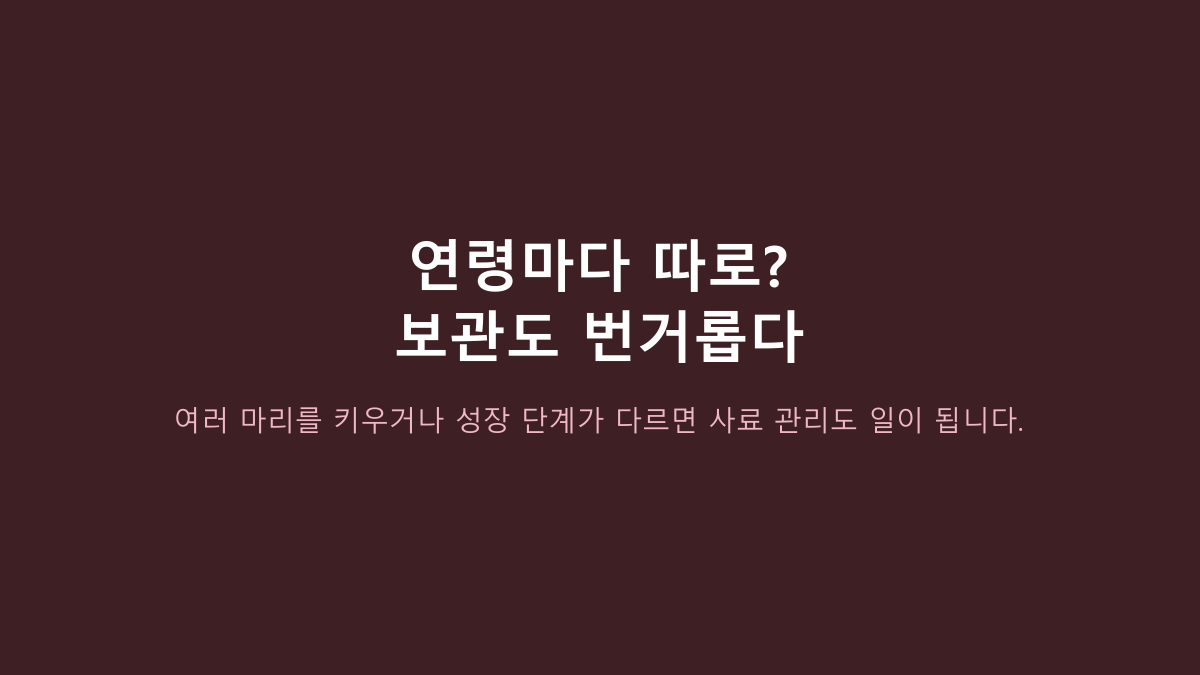 캐츠랑 전연령 고양이 사료 후기, 오래 먹이는 집 공통점