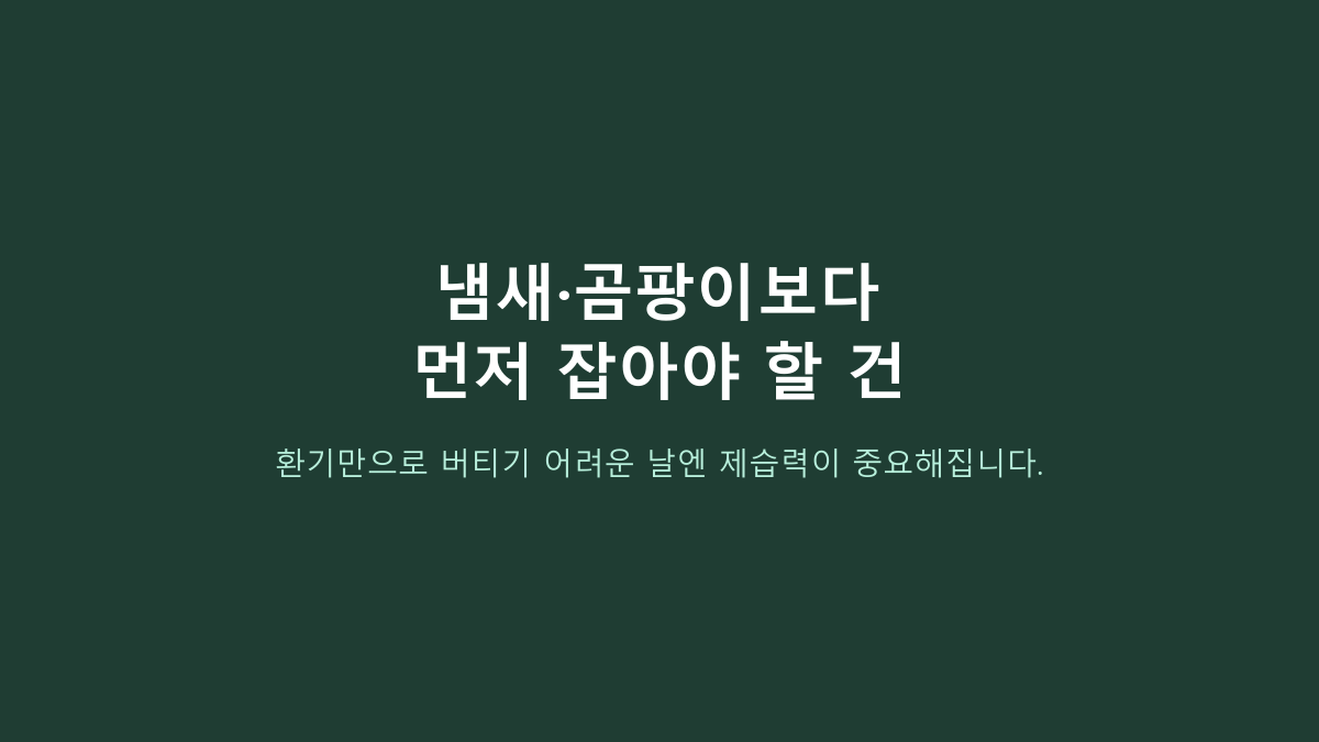롯데알미늄 12L 제습기 비교, 20L급보다 나을까?